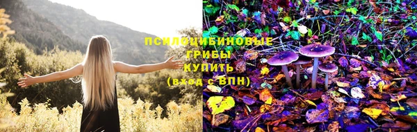 гидра Покров
