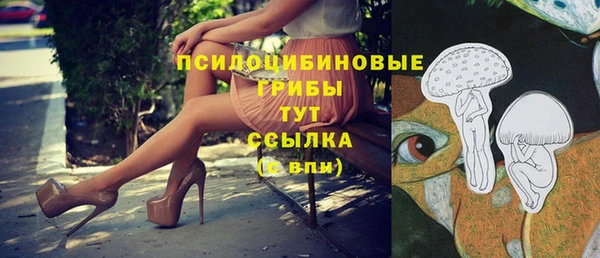 шишки Алексин