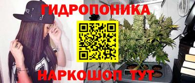 ALPHA PVP Кандалакша