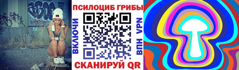 купить наркотики сайты  Беслан  Псилоцибиновые грибы Cubensis 