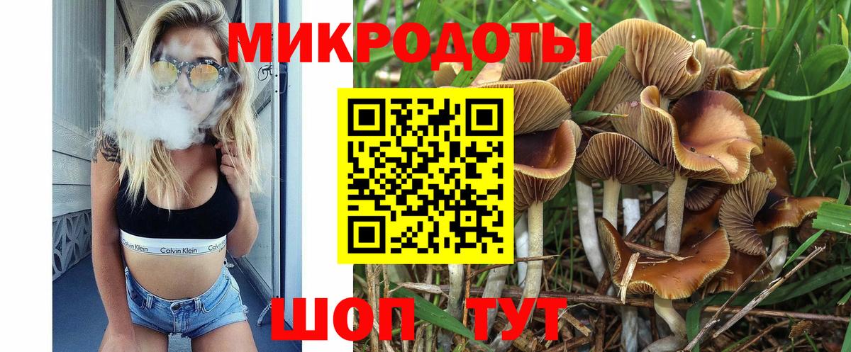 Псилоцибиновые грибы Magic Shrooms  Псилоцибиновые грибы Cubensis  Беслан  как найти закладки  Вход с VPN 