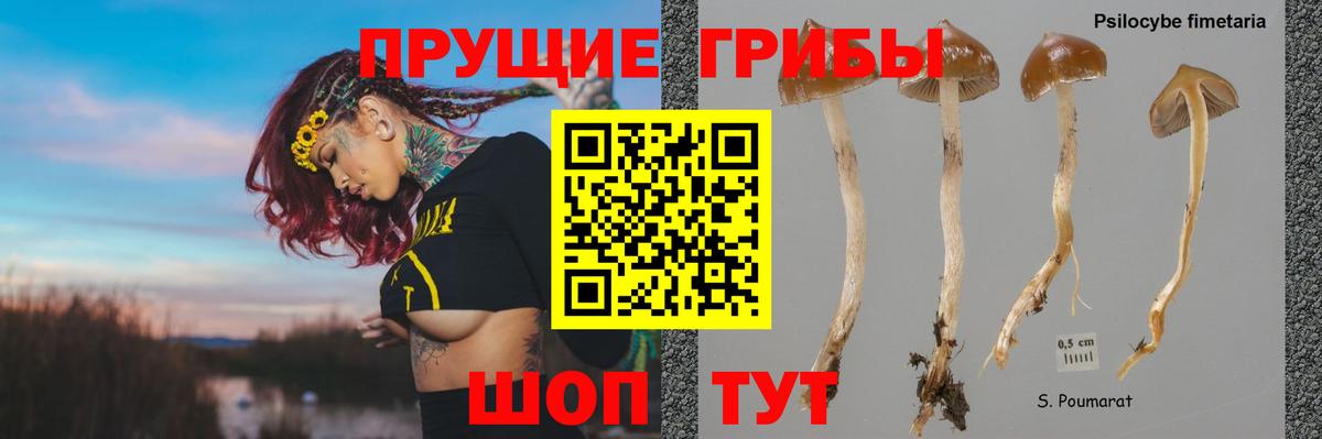 Псилоцибиновые грибы MAGIC MUSHROOMS  Беслан 